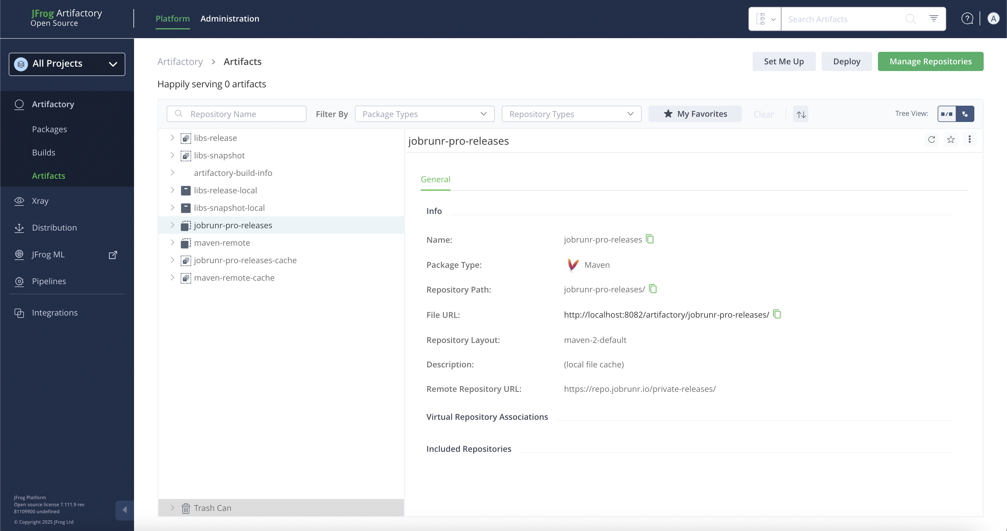 Repository information summary