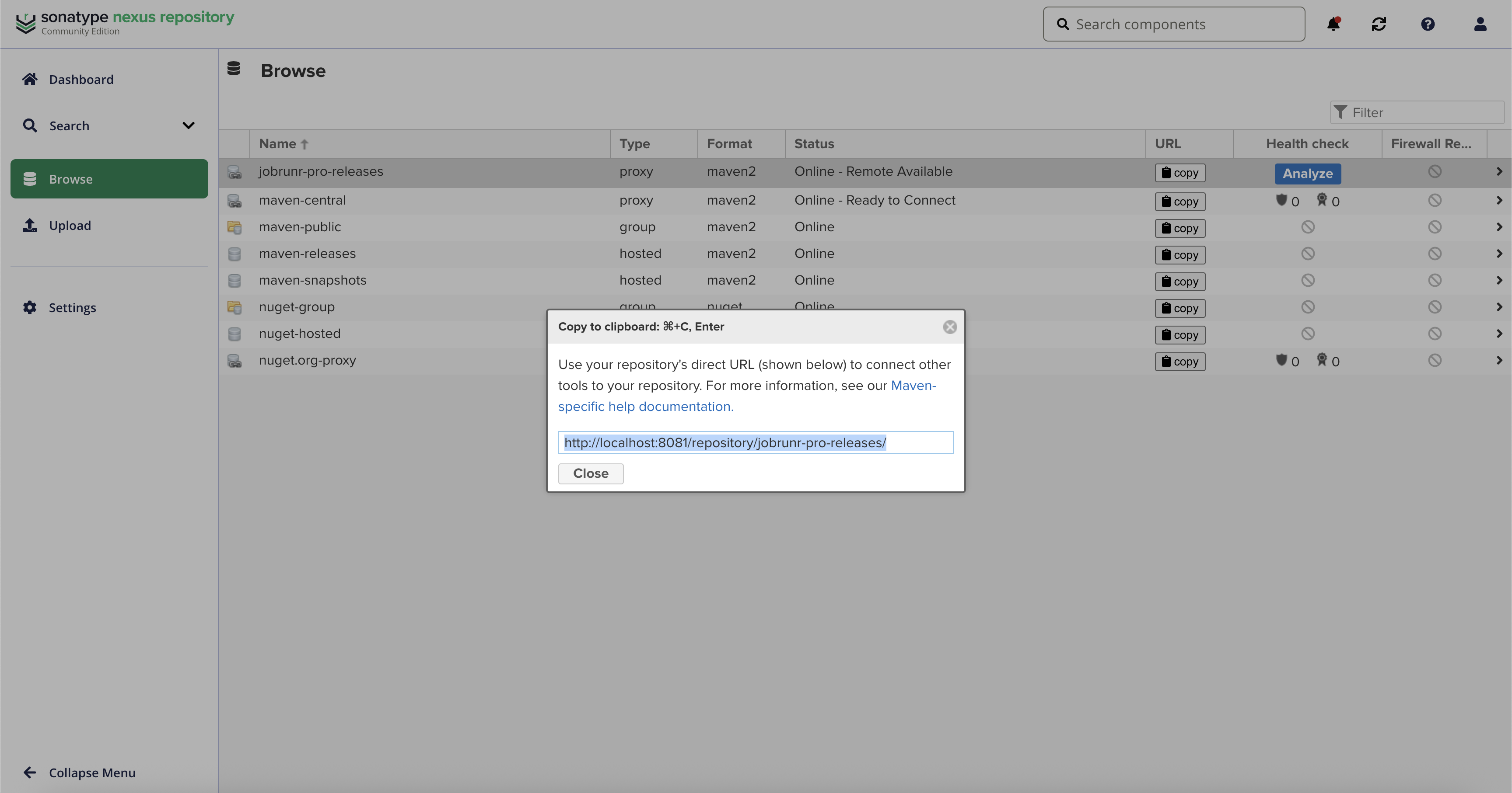 The repository URL